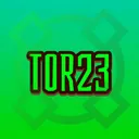 T23