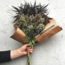 Bańka Sprana Bo Jaram Od Rana