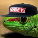 The Lizard Gang's icon