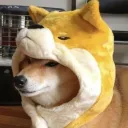 The Peoples Furry Army