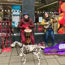live music streams