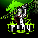 Purv Gaming icon