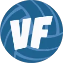 Volleyball Fever