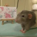 Art Rats