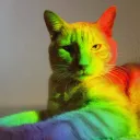 gatinhos yags e sexuaus