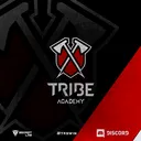 Tribe Academy