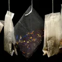 The CommuniTea