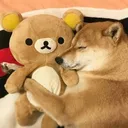 Friends?