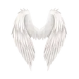 Les Anges des Cieux