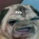 D0G