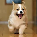 ナイスサバ👍