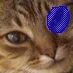 Ian's Server for Epic Garfields