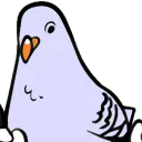Cher Ami Official