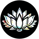 The White Lotus