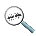Antkeeping.info