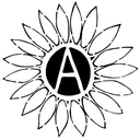 Young Anarchists Discord