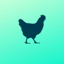 The Fallen Chicken