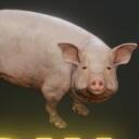 PIH NATION Icon