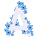 Aomi — Дискорд Сервер