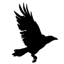 Bad Crow Games