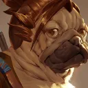 Overwatch Open Pug Brasil