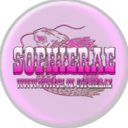 Sophies' Channel