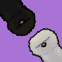 HerpClub