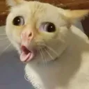 MMMMMMMM