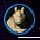 Jar Jar Binks Fan Corner