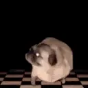 Snapy's Dojo