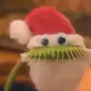 Wtf