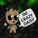 Crazy-Squad