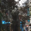 ハチ公