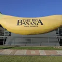 Big Bananas Army