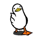 A server