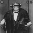 MONKEY LOUNGE