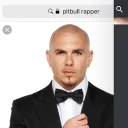 Official Pitbull Fans Discord Server