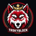 TRSkyblock | play.trskyblock.com icon