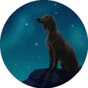 Silverfang & Darkrise Art