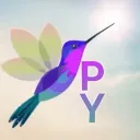 PY™