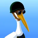 Modest Pelican