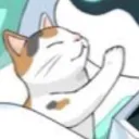 猫の溜まり場
