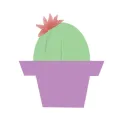 Cacti Crew