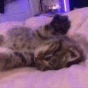 Discovery icon for join /girls ♡ Discord server