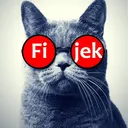 Fijek Discord