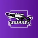 Goigois1 Services