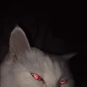 yeeet Discord Server Icon