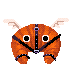 ⌞jemini×2 💾 Database⌝