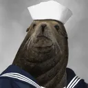 INACTIVE SEA CADET SERVER
