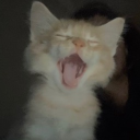 maria and da babies Server Icon